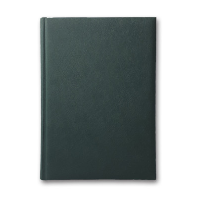 Щоденник ЗВ-43 н/дат "Infolk" зелений 168 арк. == 142х203 (10)