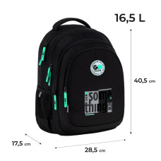 Рюкзак "GoPack" /GO26-162M-4/ Teens 162M-4 (1/10)