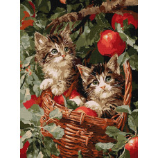 Картина за номерами "Ідейка" /KHO6949/ "Коти у кошику" 30*40см