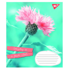 Зошит уч. "1В" 96арк.# /766120/ "Summer flowers" (5/120)