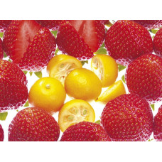 Алмазна мозаїка "JO" /GB72728/ "Смаколики" рулон, 30*40см