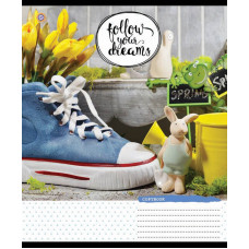 Зошит уч. "ЗУ" 60арк.== /795022/ "Follow Dreams"  (10/160)