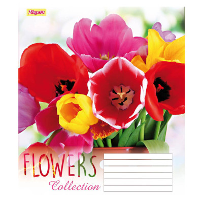 Зошит уч. "1В" 60арк.== /760184/ "Flowers dream-17" (10/160)