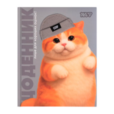 Щоденник шкільний "Yes" /911720/  твердий Chunky Cat (1/20)