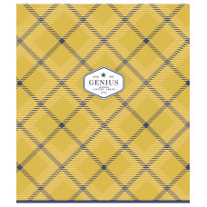 Зошит уч. "Genius" 12арк.== /2900L/ "Your genius choice" Софт тач лак (хлопчик) (30/300)