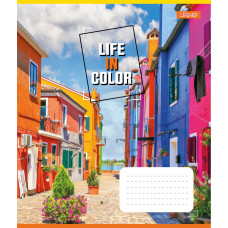 Зошит уч. "1В" 48арк.== /767380/ "Life in colors" (10/200)
