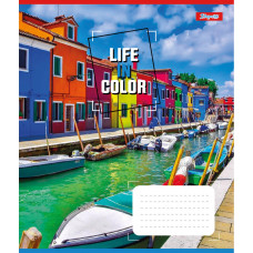 Зошит уч. "1В" 48арк.== /767380/ "Life in colors" (10/200)
