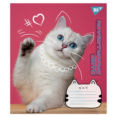 Зошит уч. "YES" 24арк.== /766656/ "Adventurous cats" (20/320)