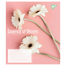 Зошит уч. "YES" 36арк.== /767720/ "Essence of Bloom" (15/240)