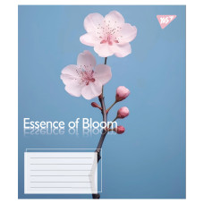 Зошит уч. "YES" 36арк.== /767720/ "Essence of Bloom" (15/240)