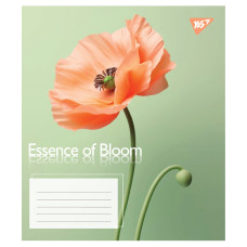 Зошит уч. "YES" 36арк.== /767720/ "Essence of Bloom" (15/240)
