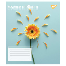 Зошит уч. "YES" 36арк.== /767720/ "Essence of Bloom" (15/240)
