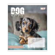 Зошит уч. "YES" 12арк.# /768731/ "Dog too pup" (25/500)