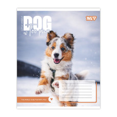 Зошит уч. "YES" 12арк.== /768732/ "Dog too pup" (25/500)