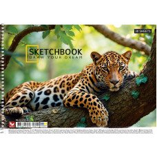Альбом для малювання "Школярик" А4/30арк./PB-SC-030-8043/ спіраль, 120г/м2, УФ-лак (9/63)