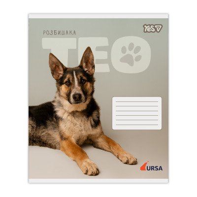 Зошит уч. "YES" 24арк.== /768957/ "Ursa" (20/320)
