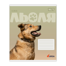 Зошит уч. "YES" 24арк.== /768957/ "Ursa" (20/320)