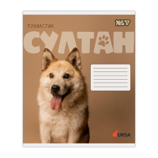Зошит уч. "YES" 24арк.== /768957/ "Ursa" (20/320)