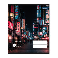 Зошит уч. "1В" 36арк.== /768965/ "City soul" (15/240)
