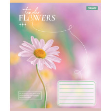 Зошит уч. "1В" 60арк.== /768083/ "Tender Flowers" (10/160)