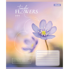 Зошит уч. "1В" 60арк.== /768083/ "Tender Flowers" (10/160)