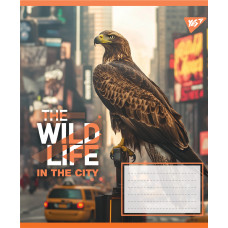 Зошит уч. "YES" 96арк.# /767772/ "The wild in the city" (5/120)