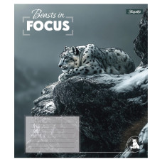 Зошит уч. "1В" 96арк.== /768065/ "Beasts in Focus" (5/120)