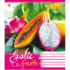Зошит уч. "ЗУ" 60арк.== /795457/ "Exotic Fruits"  (10/160)