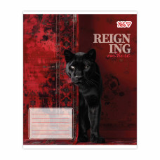 Зошит уч. "YES" 48арк.# /769096/ "Reign ing" (10/200)
