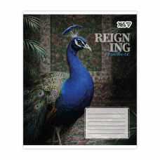 Зошит уч. "YES" 48арк.# /769096/ "Reign ing" (10/200)