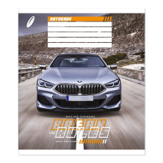 Зошит уч. "Пір'ячко" 12арк.# /ТВ-307/  №0343 Рухайся вперед офсетний папір 50-53 г/м2 (25/600)