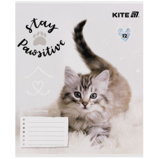 Зошит уч. "Kite" 12арк.// /R25-235/ софт тач + УФ лак, Rachael Hale (25/600)