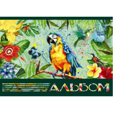Альбом для малювання "Офорт" /АА4224/ "Тропики" А4/24арк на скобі (120гр/м)(10/80)