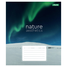 Зошит уч. "1В" 24арк.== /768101/ "Nature aesthetics" (20/320)