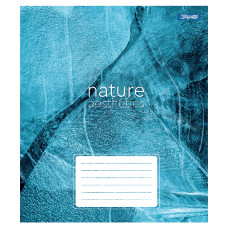 Зошит уч. "1В" 24арк.== /768101/ "Nature aesthetics" (20/320)