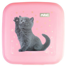 Ланчбокс "MAXI" /MX98138/ 850 мл (1/15)
