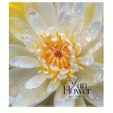 Зошит уч. "Школярик" 60арк.== /3456L/ "Sun Flower" УФ-лак (дівчинка) (10/80)