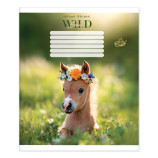Зошит уч. "Бріск" 12арк.== /ТВ-107/ №2716 Дика гармонiя (25/500)