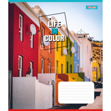 Зошит уч. "1В" 24арк.== /767304/ "Life in colors" (20/320)