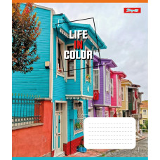 Зошит уч. "1В" 24арк.== /767304/ "Life in colors" (20/320)